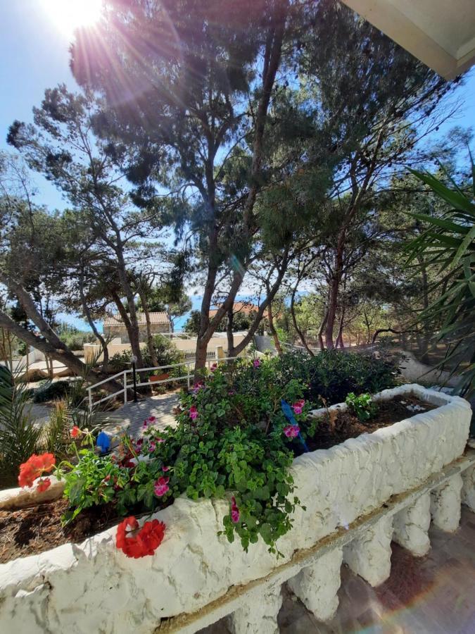 Florida Villa Porto Pino Buitenkant foto